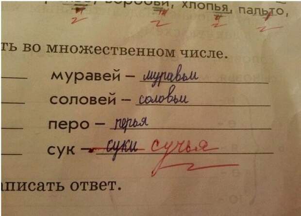 Гениальные ответы детей в школьных тетрадях