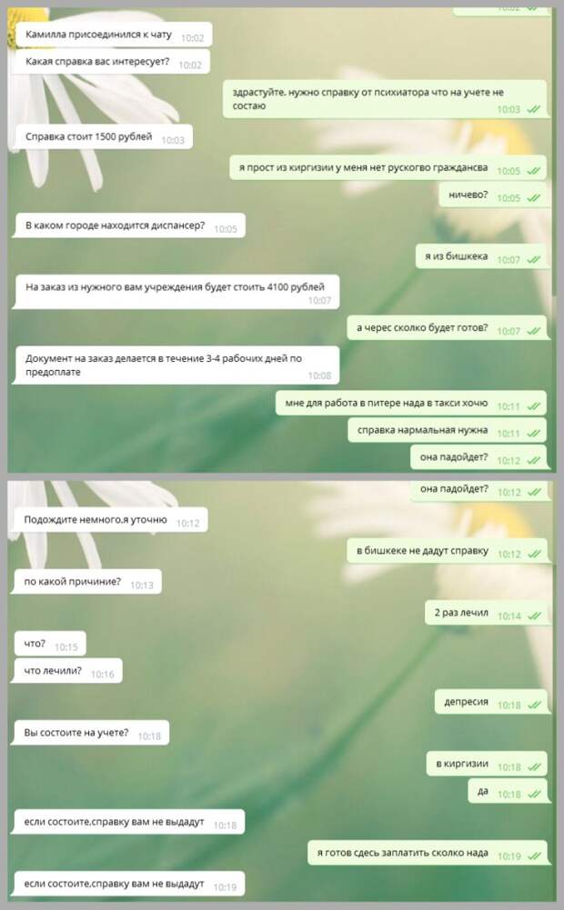 Эксперимент удался: журналисты проверили сайты по продаже мед справок Эксперимент удался: журналисты проверили сайты по продаже мед справок