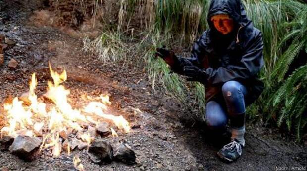 Необыкновенный костер горит на острове Южный в Новой Зеландии уже почти 100 лет