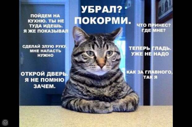 Позитивные фотки 37