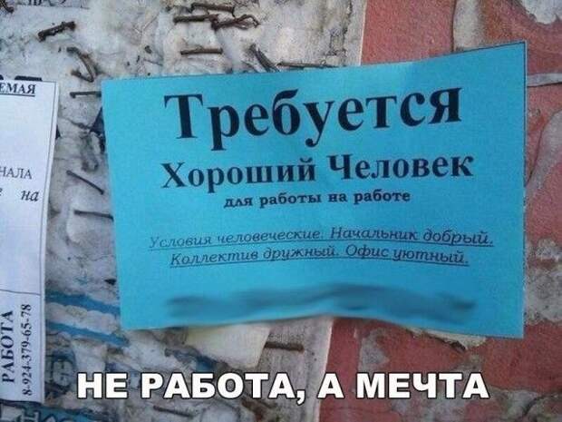 Весело до сумасшествия