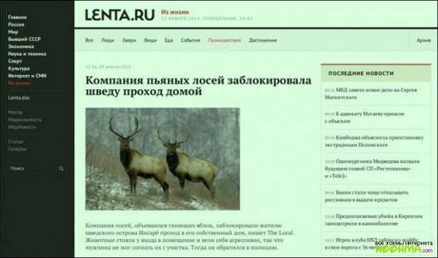 Рейтинг превыше всего