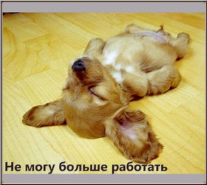 НЕ  МОГУ  БОЛЬШЕ  РАБОТАТЬ...