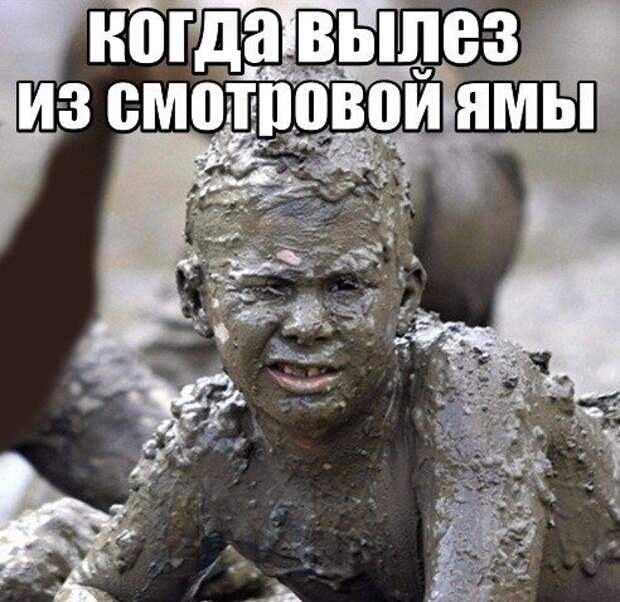 АВТОприкольные картинки (16 шт)