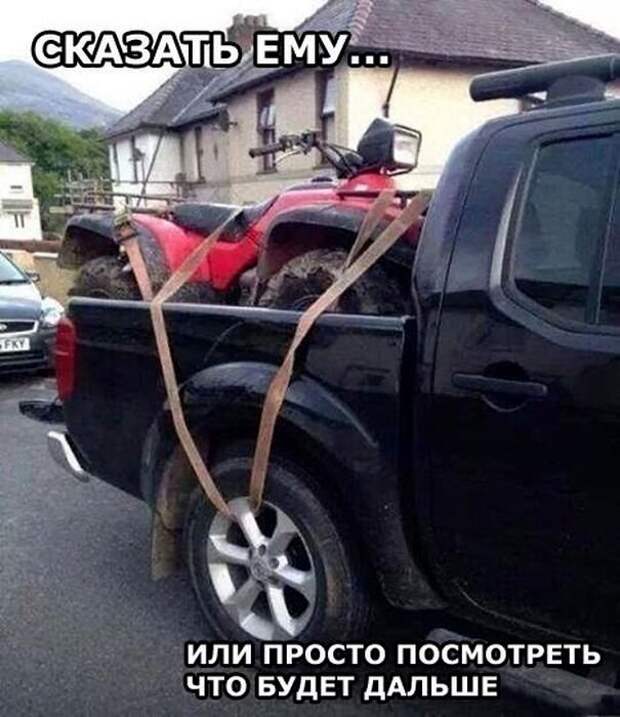 Прикольные картинки