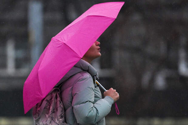 Гидрометцентр РФ: 5 апреля в Москве ожидаются дожди и температура до +9°C