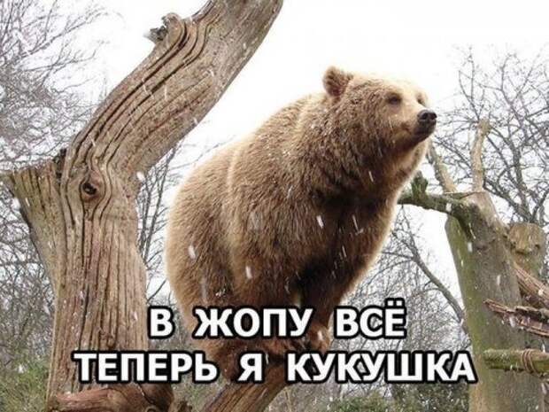 Прикольные картинки субботы (41 шт)