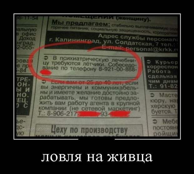 Демотиваторы