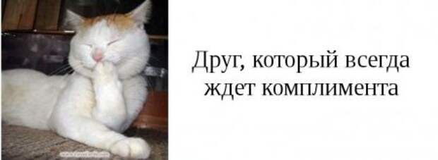 Такие друзья, есть у каждого из вас.