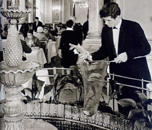 В 70-х годах прошлого столетия был очень популярен рыбный ресторан «Океан» / Фото: onashem.mediasole.ru В 70-х годах прошлого столетия был очень популярен рыбный ресторан «Океан» / Фото: onashem.mediasole.ru