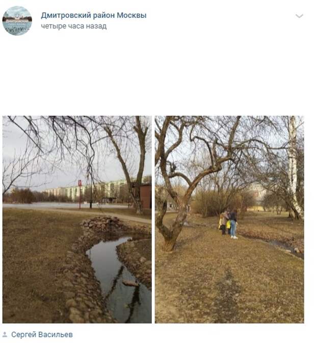 Фото дня: в яблоневом саду в парке «Ангарские пруды» вновь появился ручей