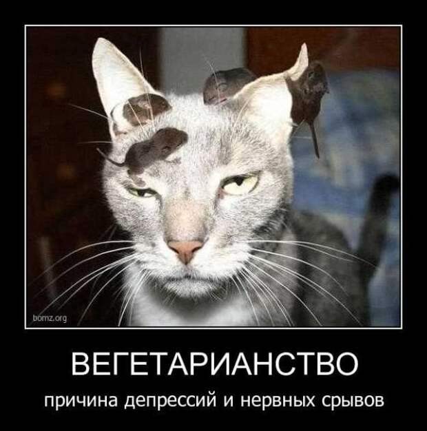 Сборник моих демотиваторов демотиватор, сборник