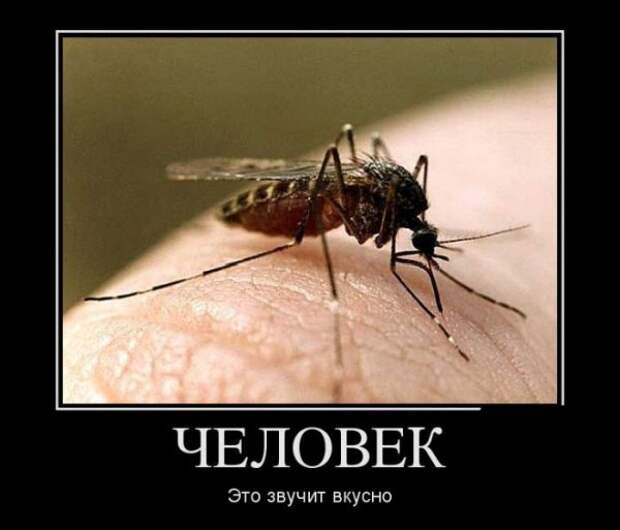 Обо всём.