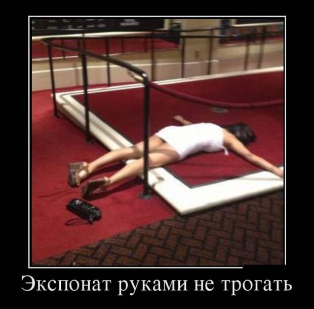 Демотиваторы про физику, золото и модель общественного поведения Демотиваторы про физику, золото и модель общественного поведения