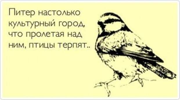 Народные приметы с картинками.