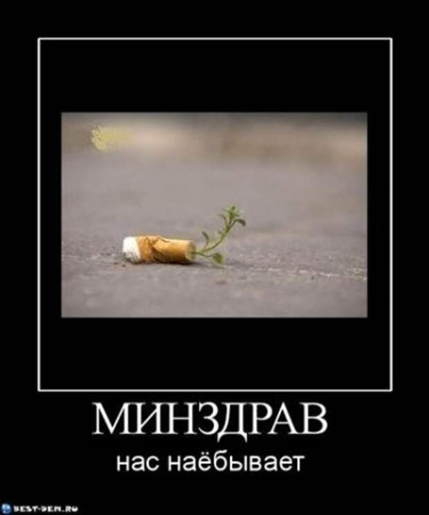Демотиваторы просто супер, много прикольного!