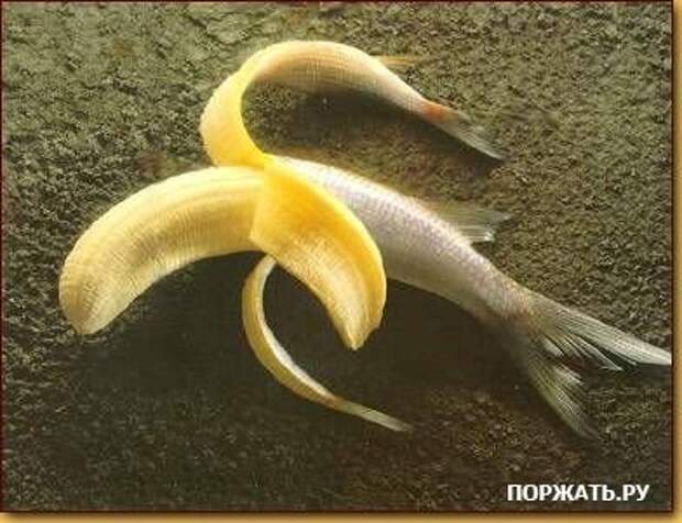 Новый день у нас для вас прикольные картинки есть.