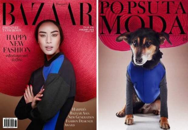 Кампания "Po Psu Ta Moda", с помощью которой собаки из приюта обретают дом (11 фото)
