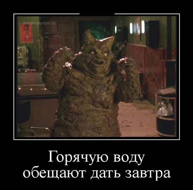 Без политики и прочей фигни, просто позитив демотиваторы, факты, юмор