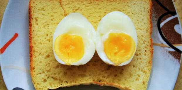 1 яйцо в день