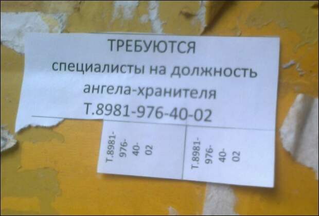 Прикольные надписи и объявления  надписи, объявления, юмор