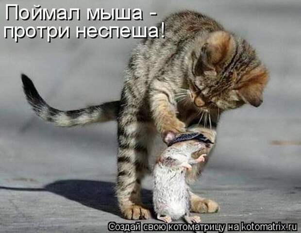 Мысли вслух :)
