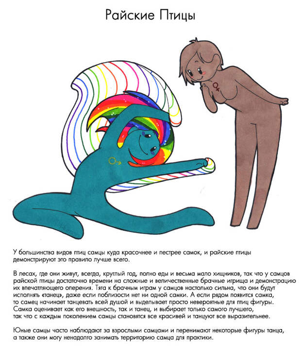 000048-p6oomjyakx