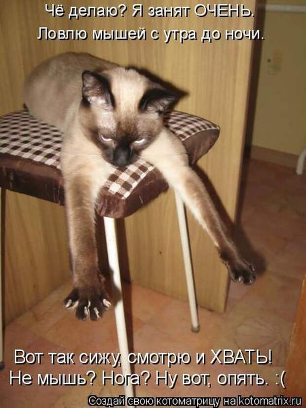 Мысли вслух :)