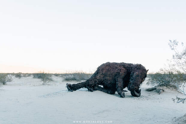 Anza-Borrego Springs-12.jpg
