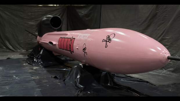 «Нам обещали тысячи ракет по Москве – но всё разворовано» – Луценко назвал проект «Фламинго» преступным «алиби»