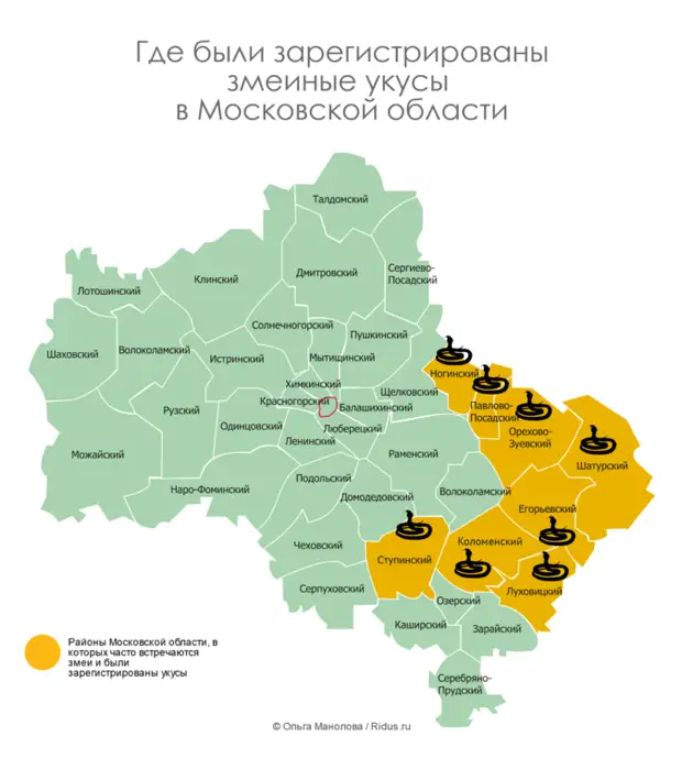 Где Купить В Московской Области