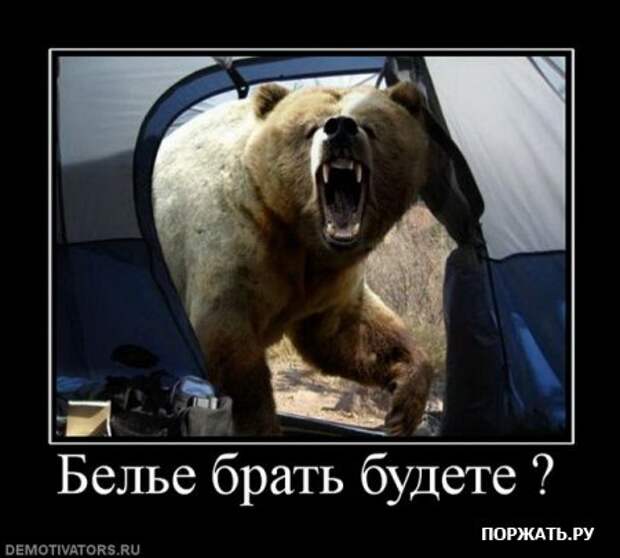 Демотиваторсы