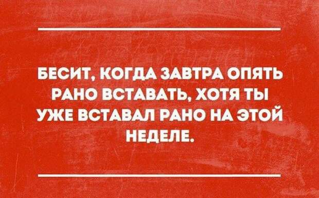 открытки с отборным юмором (20)