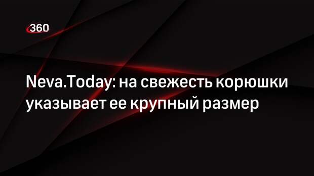Neva.Today: на свежесть корюшки указывает ее крупный размер