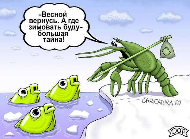 Где зимуют раки? закуска, история, медицина, раки