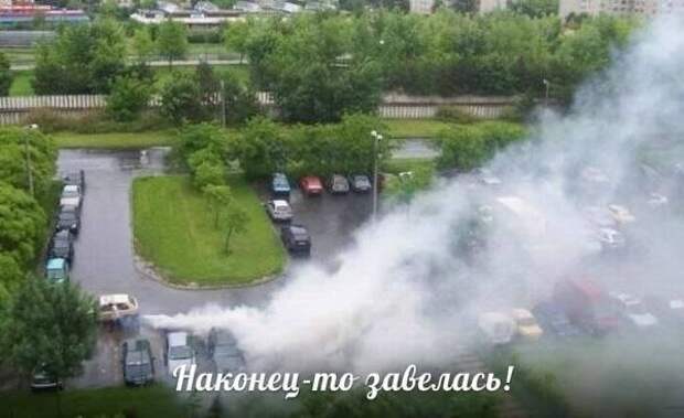 Подборка автоприколов. Часть 155 автоприколы, приколы