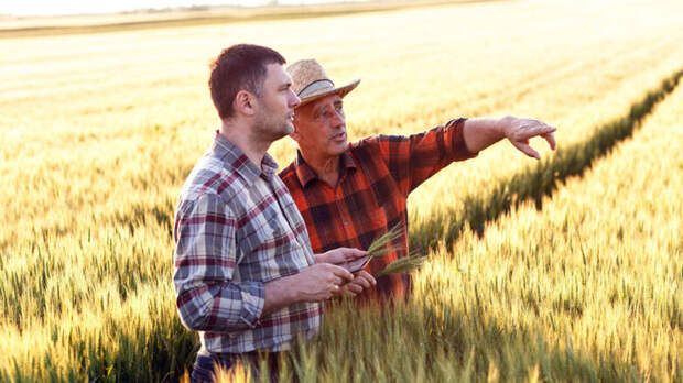 Цифровая маркировка: новый шаг к легализации для малых фермерских хозяйств