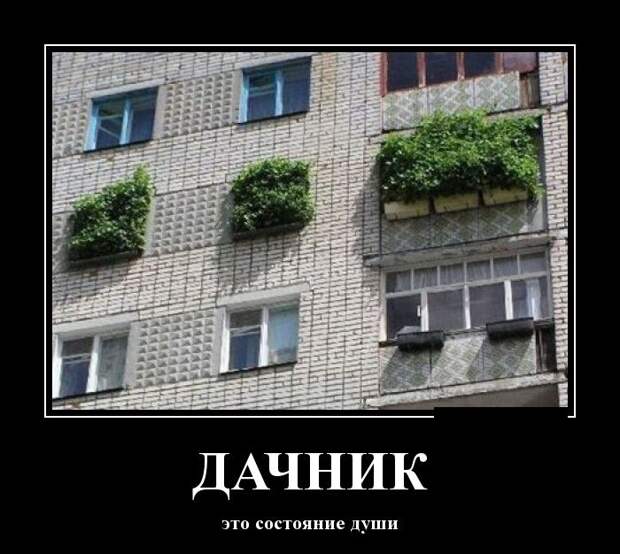 Демотиваторы (30 фото)