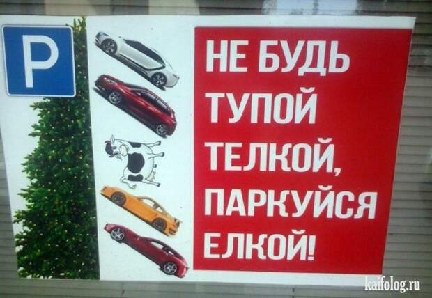 Прикольная Россия - 293 (85 фото)