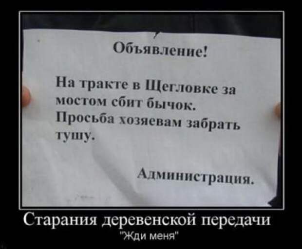 Ржачные демотиваторы и прикольные фотки.