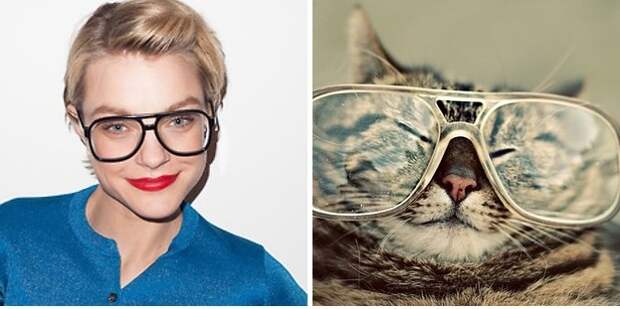 коты воссоздают фотографии, коты кошки фотографии моделей, коты повторяют фото моделей