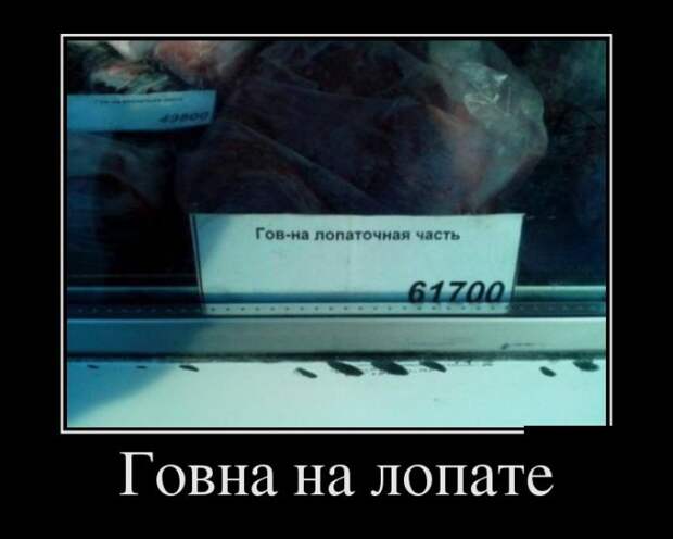 Демотиваторы (30 фото)