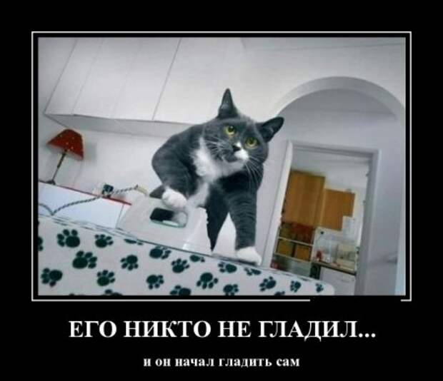 Демотиваторы, прикольно люди живут.  