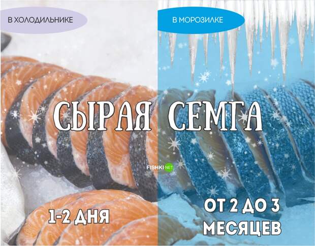 Реальный срок годности продуктов еда, продукты, хранение