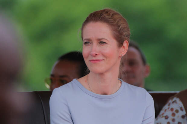 В Госдуме оценили слова Каллас о «нападениях» России