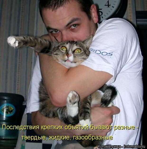 Лучшие котоматрицы недели