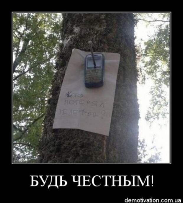 Смешные фразы в демотиваторах высший класс.