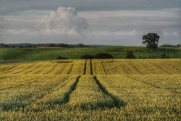 Landscape by Ludo P on 500px.com