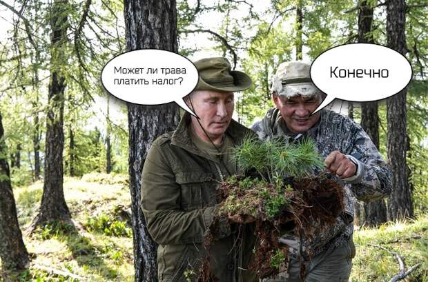 Путин в Туве