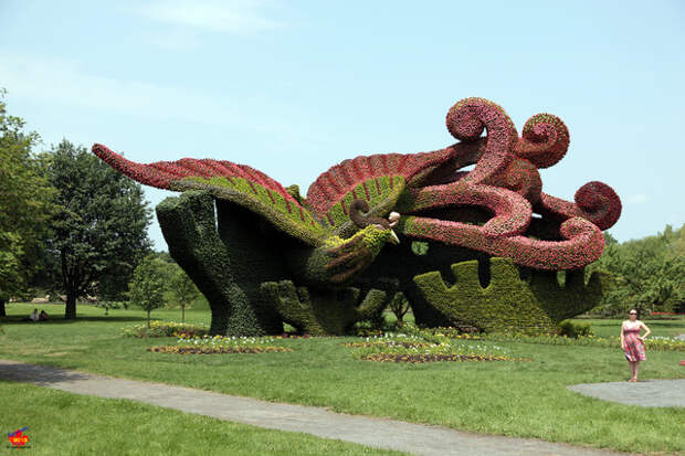 34 - China - Bejing - Planting plantanes to attract the Phoenix
